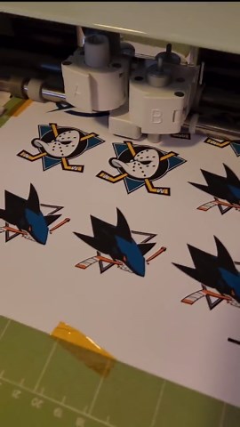 NHL Hockey Team Vinyl Stickers Pack (32 Teams), 2inx2in Die Cut - Etsy