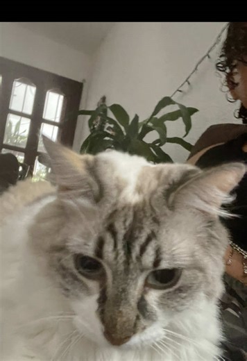 #fyppppppppppppppppppppppp #amoor #crush #foryou #fyp @─ anto ᰔ lisa 🐥🤍 @vale 🫰🏻