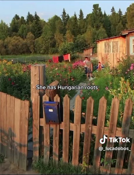 Explore Hungary: Eastern European Charm and Culture