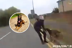 Dramatic video captures police dog chasing teenager trying to flee from cops