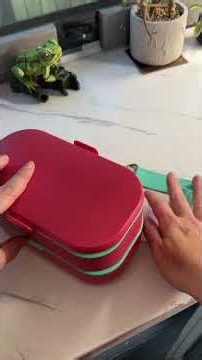 This Adult Bento Box Makes Packing Lunch Actually Fun