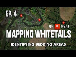 Part 4 - Mapping Public Land Whitetails | Identifying Bedding Areas