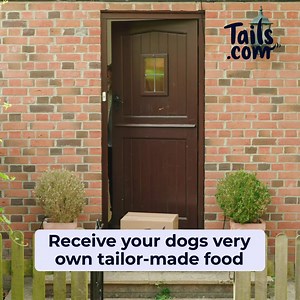 Your dog's perfect diet using delicious, high-quality ingredients - selected by vets & nutritionists to support their needs. | tails.com