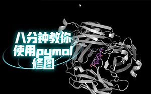 八分钟教你使用pymol修图