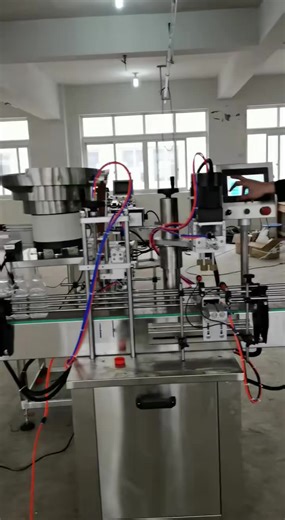 Automatic Plastic Cap Screwing Machine Production Line Spray Pump Capping Machine