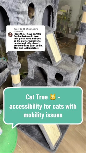 Replying to @DE Wine Lady the layout of this tree is what makes it such a good option, especially for a tripod or cats who do better with smaller, angled movements. The multi-level design and the way the platforms tear off to the sides lets them angle up and take short, confident strides instead of needing big jumps. It creates a natural flow that’s much easier on their body. Definitely a solid choice if you’re thinking about accessibility and comfort. 🐈‍⬛ 👇 Linking it here for anyone else con