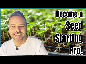 How to Grow Vegetables from Seed // Seed Starting Series Day 1 of 4
