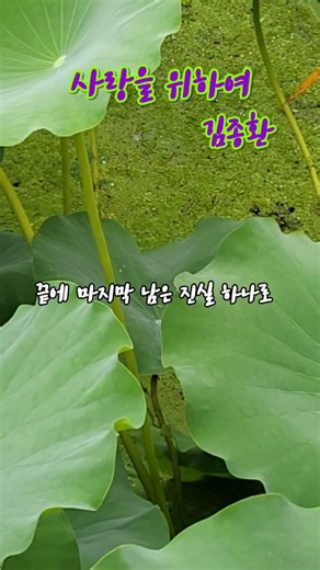 #사랑을위하여 #김종환
