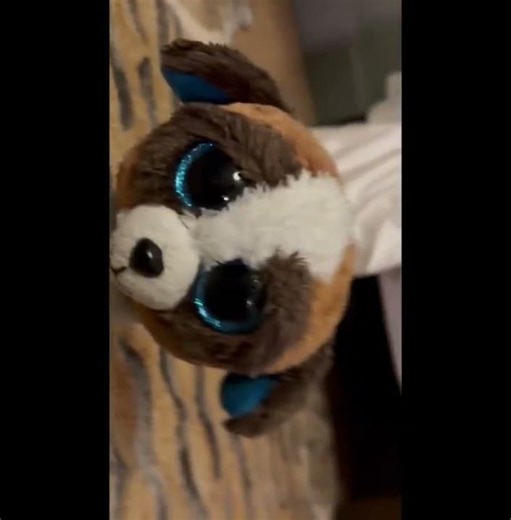 Dukey the dog #memes #funny #dog