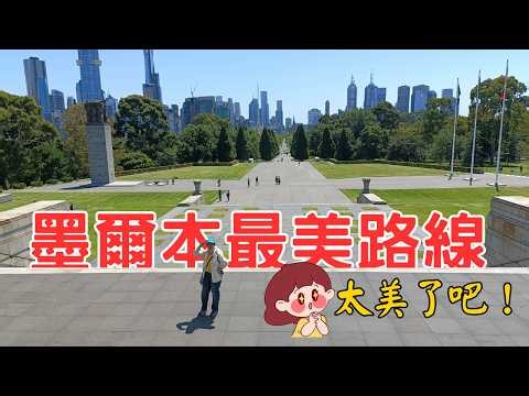 Melbourne’s Hidden Forest?! Yarra River South Bank Ultimate Guide
