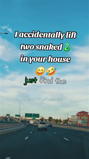 Hilarious Prank Call: Accidental Python Delivery Gone Wrong!