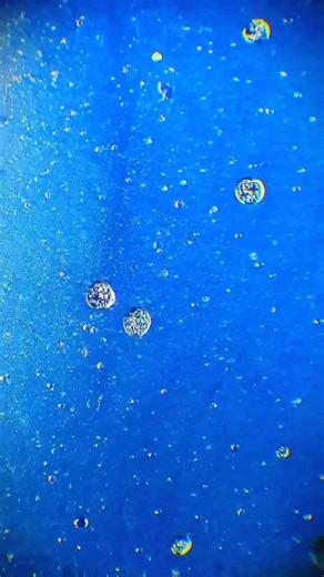 It's egg yolk at microscopic 600x magnification | Know your universe | Learn science biology #viral