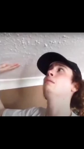 Good ol' Vines on TikTok