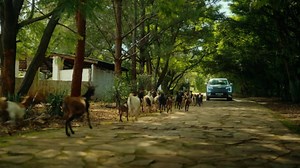 35K views · 78 reactions | Kia’s Seeds of Change initiative brings...