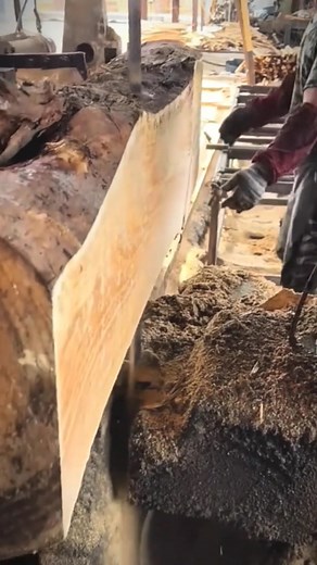 Sawmill #woodworking #lumbermillwork #DIYwood #machine #tools | Sambass AR