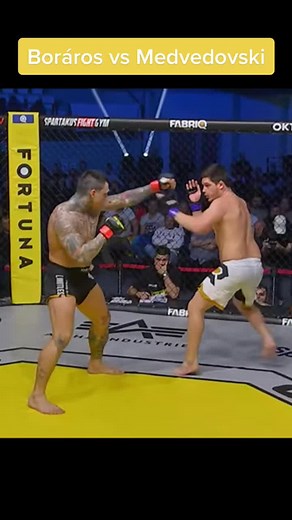 FABRIQ MMA Gábor Beast Boráros vs Kirill Medvedovski #mma#fabriq#fabriqmma#europe#slovakia#czech#hungary#ukraine#israel#highlighlt#ko#tko#beast#boraros