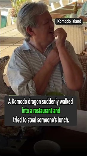 Komodo Dragon Walks Into a Restaurant and Tries to Steal Lunch