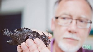 A vacationing family found an unusual "walking" fish with legs. Researchers hope a DNA test can shed more light on this mysterious creature. http://cnn.it/2f7pSrn | CNN