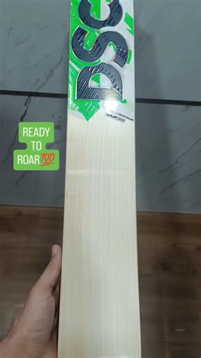 DSC Split 300 | English Willow