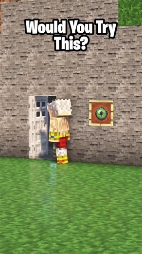 MINECRAFT FACE LOCK DOOR 😱#minecraft #shorts