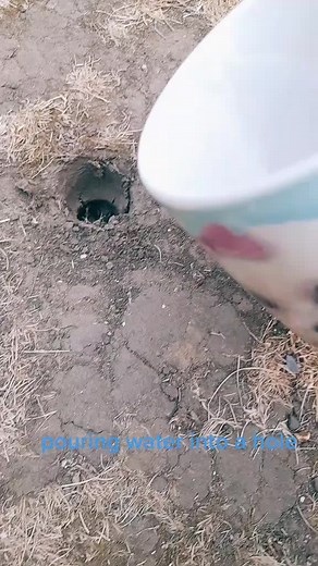 Falling Games (@morefallinggames)’s videos with original sound - Falling Games