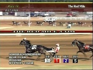 Somebeachsomewhere at The Red Mile 1:46.4