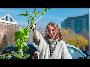 DC Central Kitchen's 2025