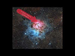 2025 July 09 - A Beautiful Trifid