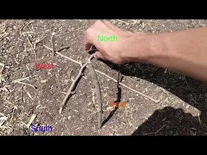 Backyard Nature Challenge: Solar Compass