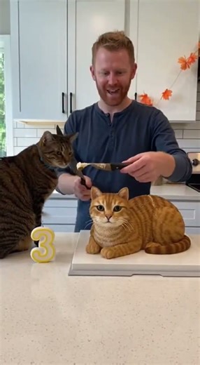 Surprising Cat Birthday Cake Reaction! Real Cat vs. Cake Showdown 🎂🐱