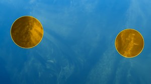 Could a solar flare wipe out the Earth?