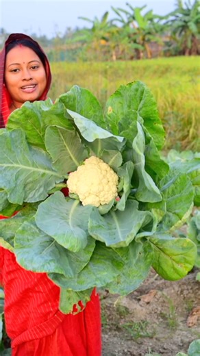 popi kitchen village seen | Popi kitchen