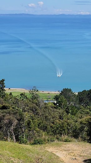 Stunning day at Tapu - online Monday | Catherine Hayward Property Waikato