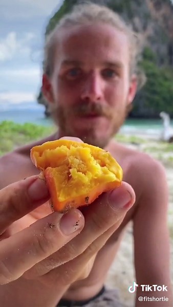 Uncovering the Mystery of the Spiky Tree Fruit