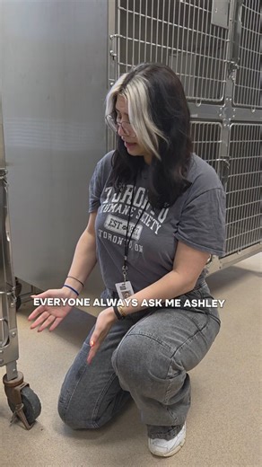 77 reactions · 3 comments | How to change your tire 101 #adoptdontshop Torontohumanesociety.com/donate (link in bio) #adoptdontshop #bestfriend #toronto #adoption #humanesociety #puppy #dog #trainer #cat #kitten #bunny #rabbit #guineapig #turtle #animal #adopt #bird | Toronto Humane Society | Facebook