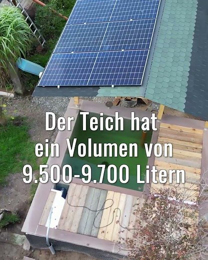 Kleinen Koiteich bauen #koiteich #koifreunde #teichundgarten4you
