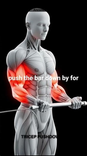 tricep pushdowns for beginners