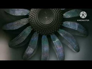 disney dvd THX logo amazing life 2007