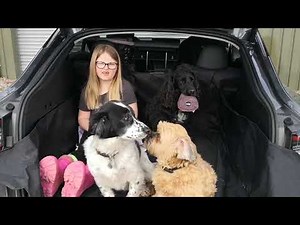 Tesla Model Y. Trunk Boot size
