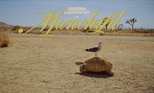 Sabrina Carpenter // Manchild