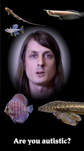 Wet Spot Tropical Fish is running a simple platform, just fish #fish #tropicalfish #aquarium #meme