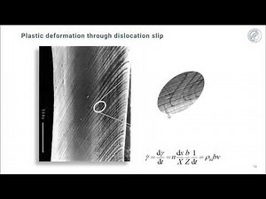 Sheet Forming and Yield Surface Simulation with Microstructure, Texture and Damage using DAMASK