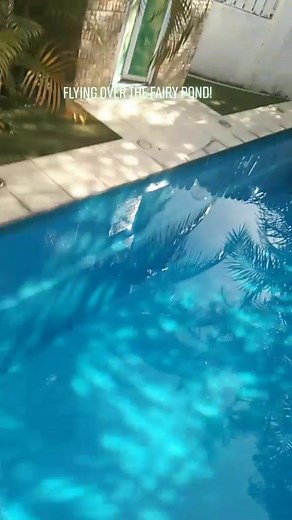 Enchanting Fairy Flies Over Pond