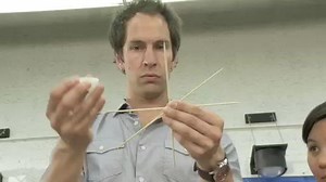 Design Squad - DIY: Kinetic Sculpture Video | PBS KIDS