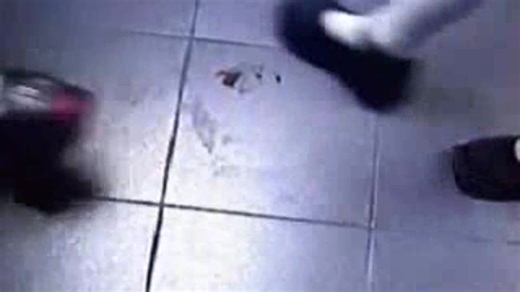 Candid Cockroach Crush