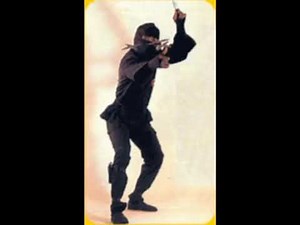 Various ninjutsu demonstration from ronald duncan students ( koga ryu ninjutsu)