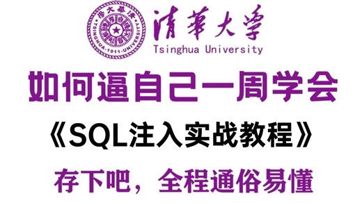 《SQL注入教程》025年B站最新最详细的SQL注入教程，网络安全零基础入门到精通教程，适合小白入门！从入门到进阶一套搞定，这还学不会，我退出安全圈！