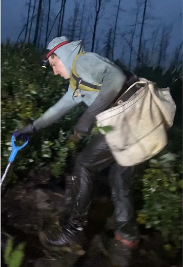 Most Trees Planted by One Person in 24 Hours: 23,060 Trees
