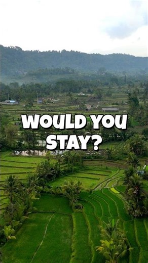 Bali's HIDDEN GEM 🌾 | 4K Drone Over Green Rice Terraces in Bali #shorts #travel #drone #cinematic