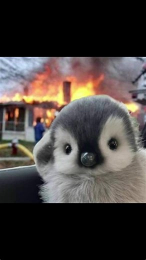 I mm@Melissa.HasCome.back